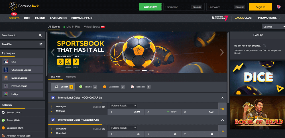 FortuneJack Sportsbook