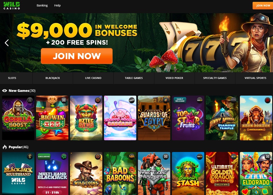 wild casino online